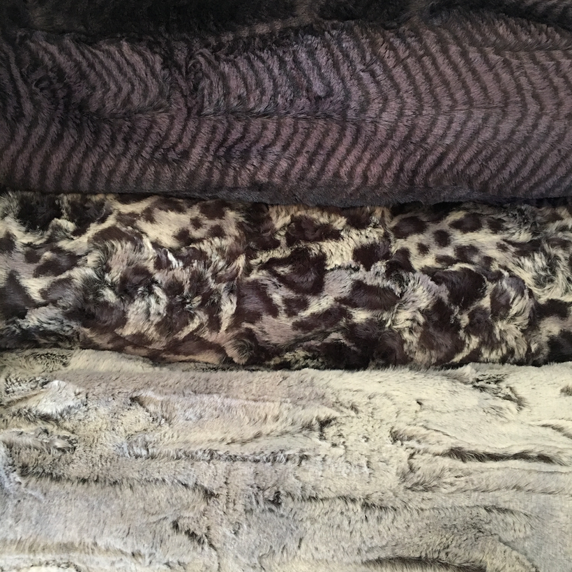 Forest Collection: The Animal Prints!